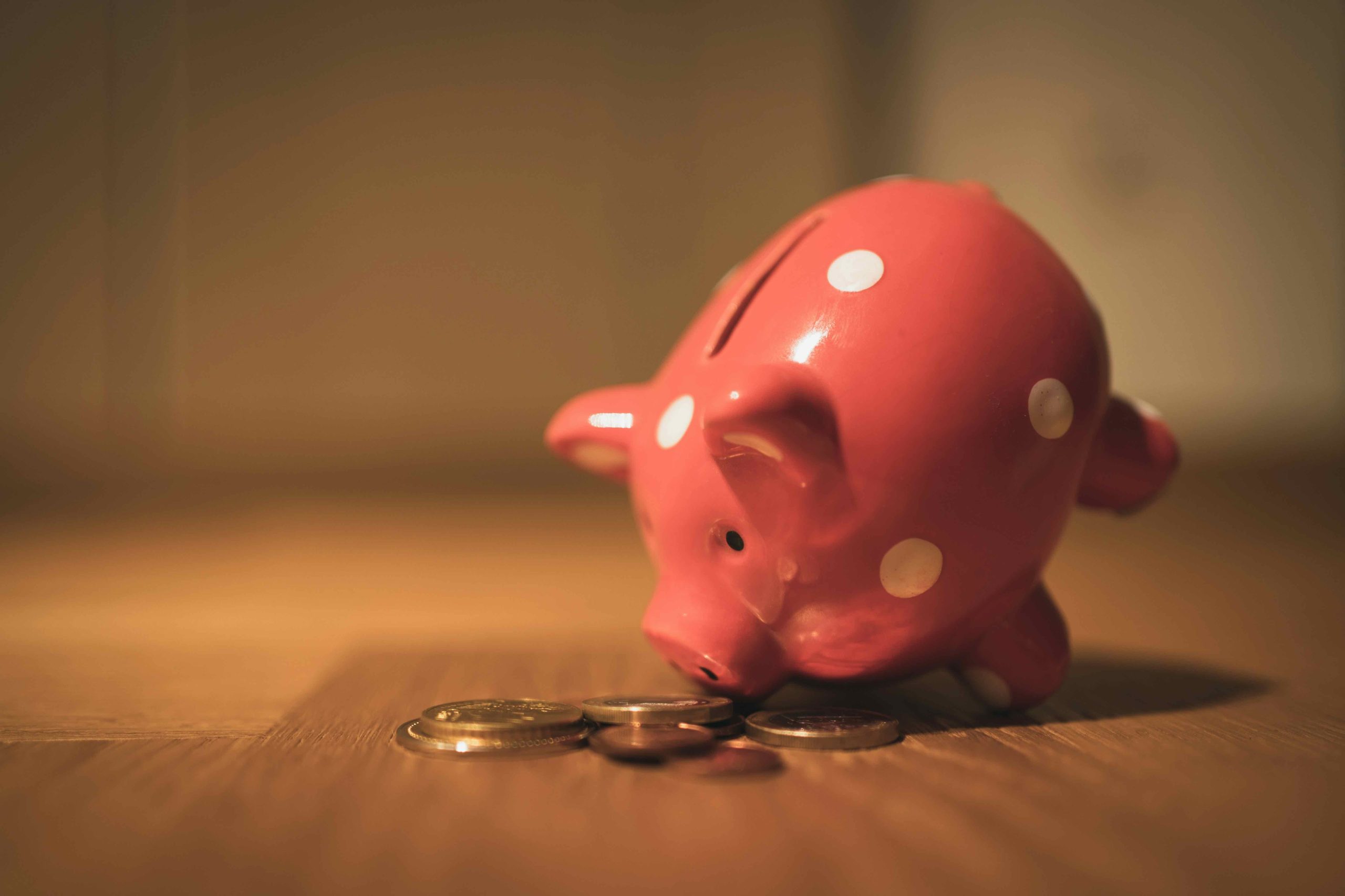 Piggy bank From debt to dreams