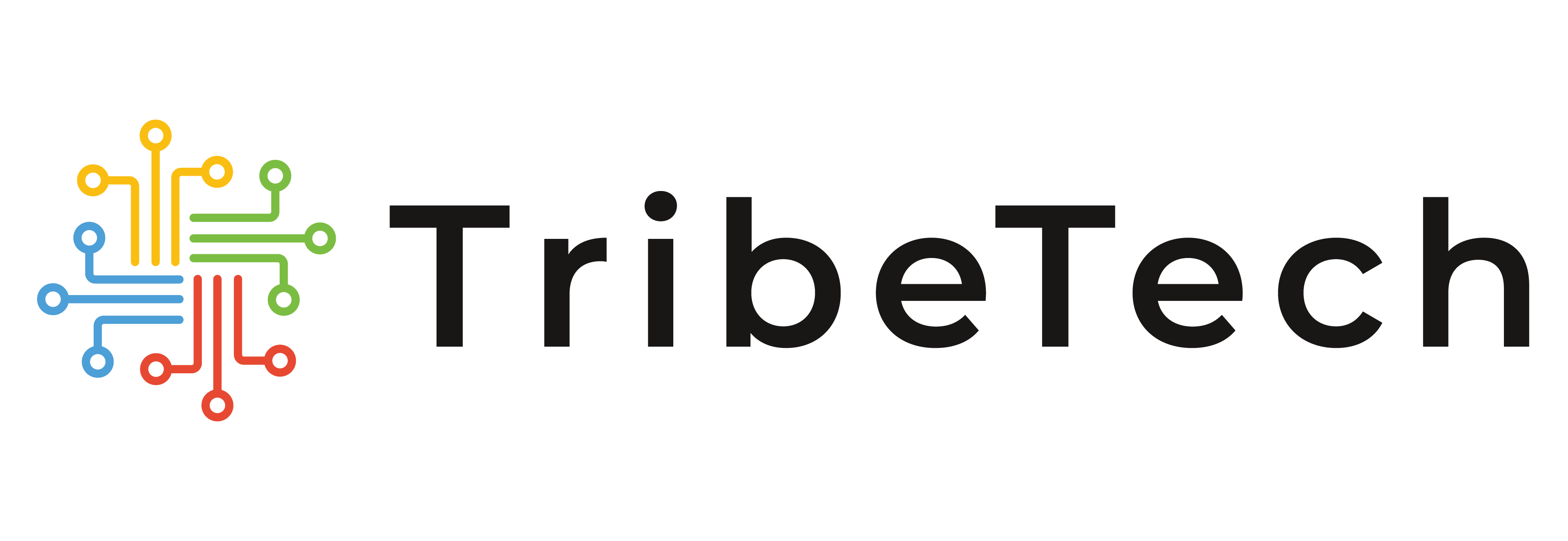 Tribetech Logo MYST Mountains Youth Services Team